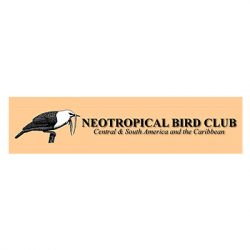 affiliation-neotropical-bird-club