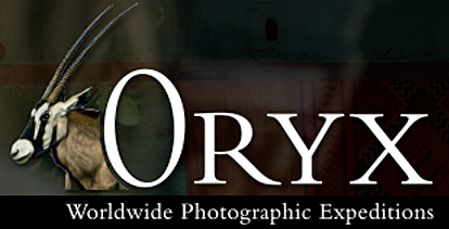 Oryx Photographic Expeditions